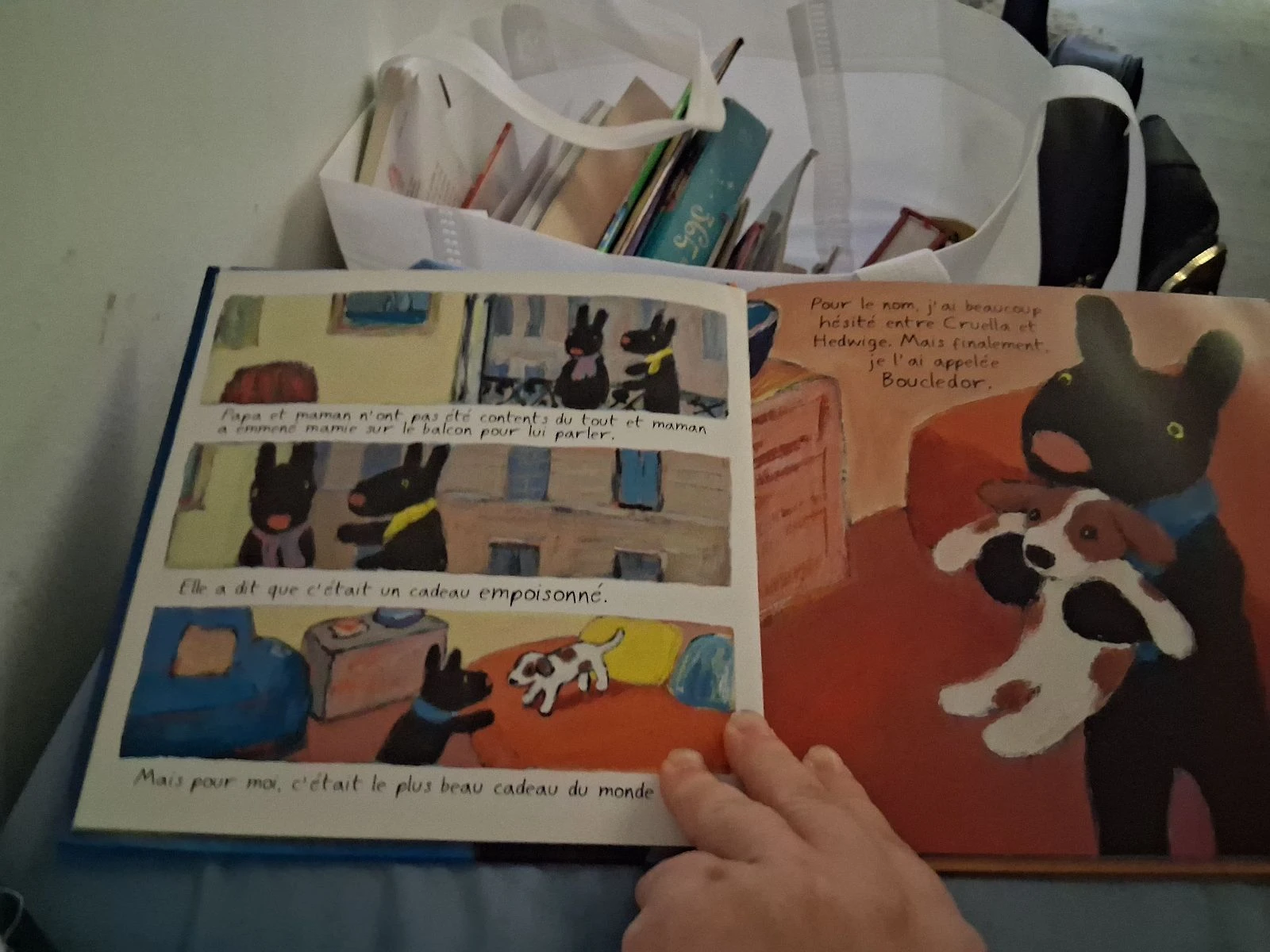 Gaspard quiere un perrito – photo 3